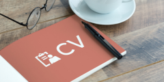 curriculum-vitae